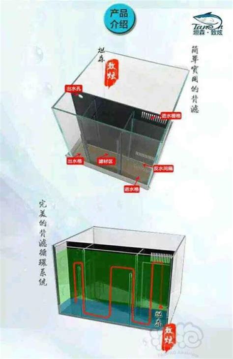 魚缸水位高度|鱼缸水位到哪个位置最合适，高水位适合养什么鱼